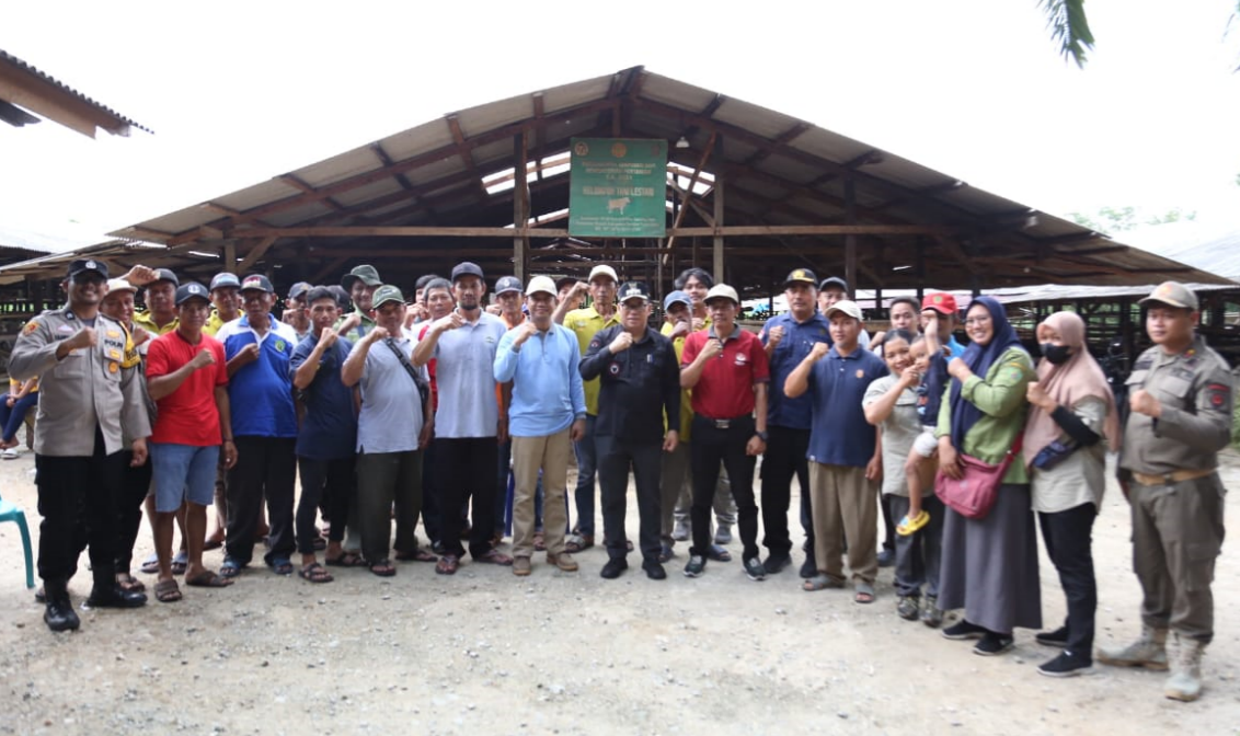 Bupati Tinjau Kandang Ternak Kelompok Tani Lestari Desa Korporasi Sapi (DKS) Babulu Brahman Jaya