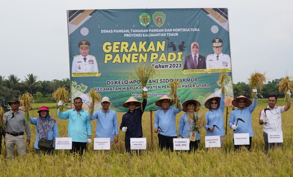 Pj. Bupati PPU Hadiri Panen Raya Bersama Petani Sido Makmur