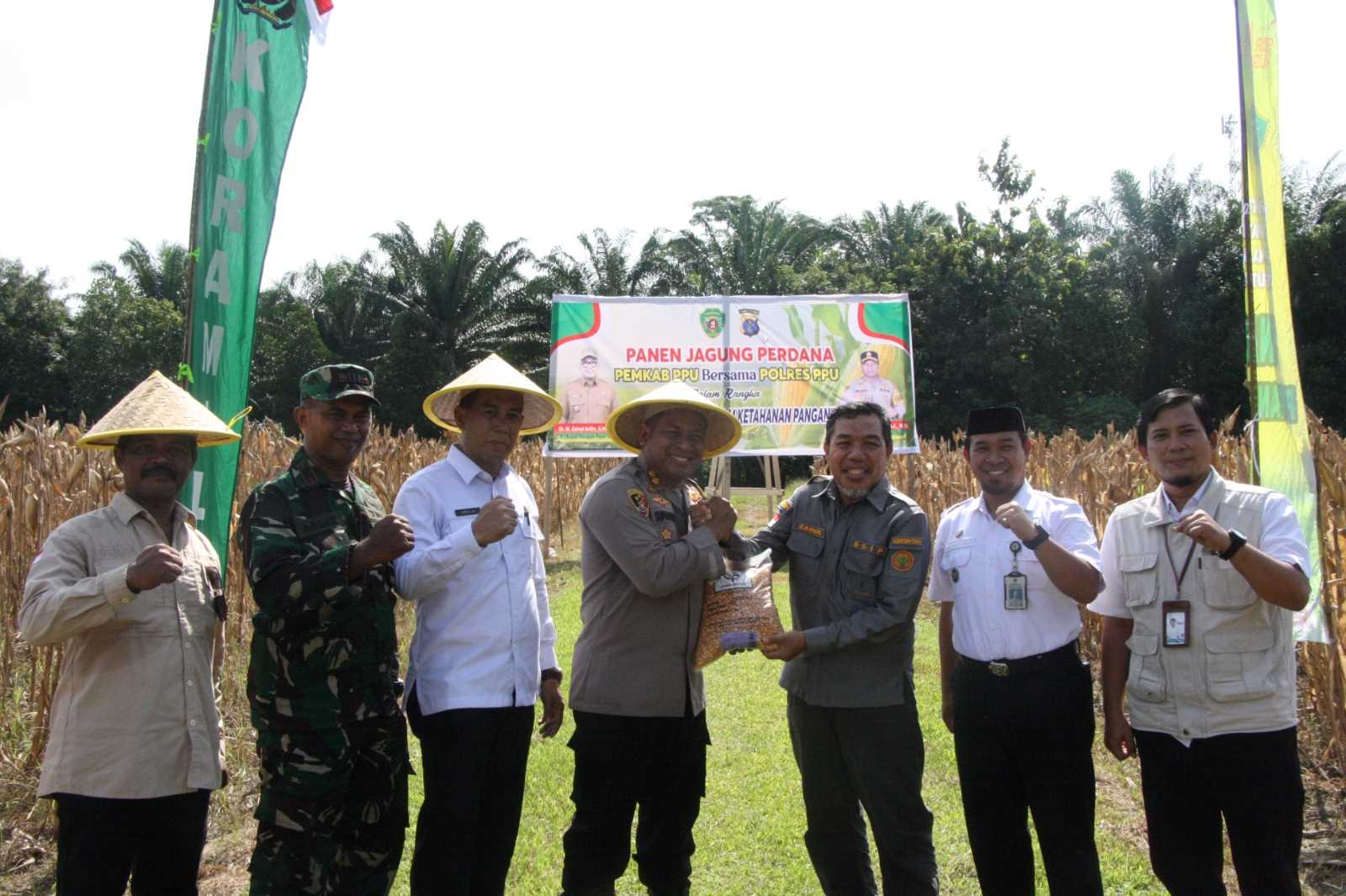 Dukung Program Asta Cita, Pemda PPU Gelar Panen Perdana Jagung