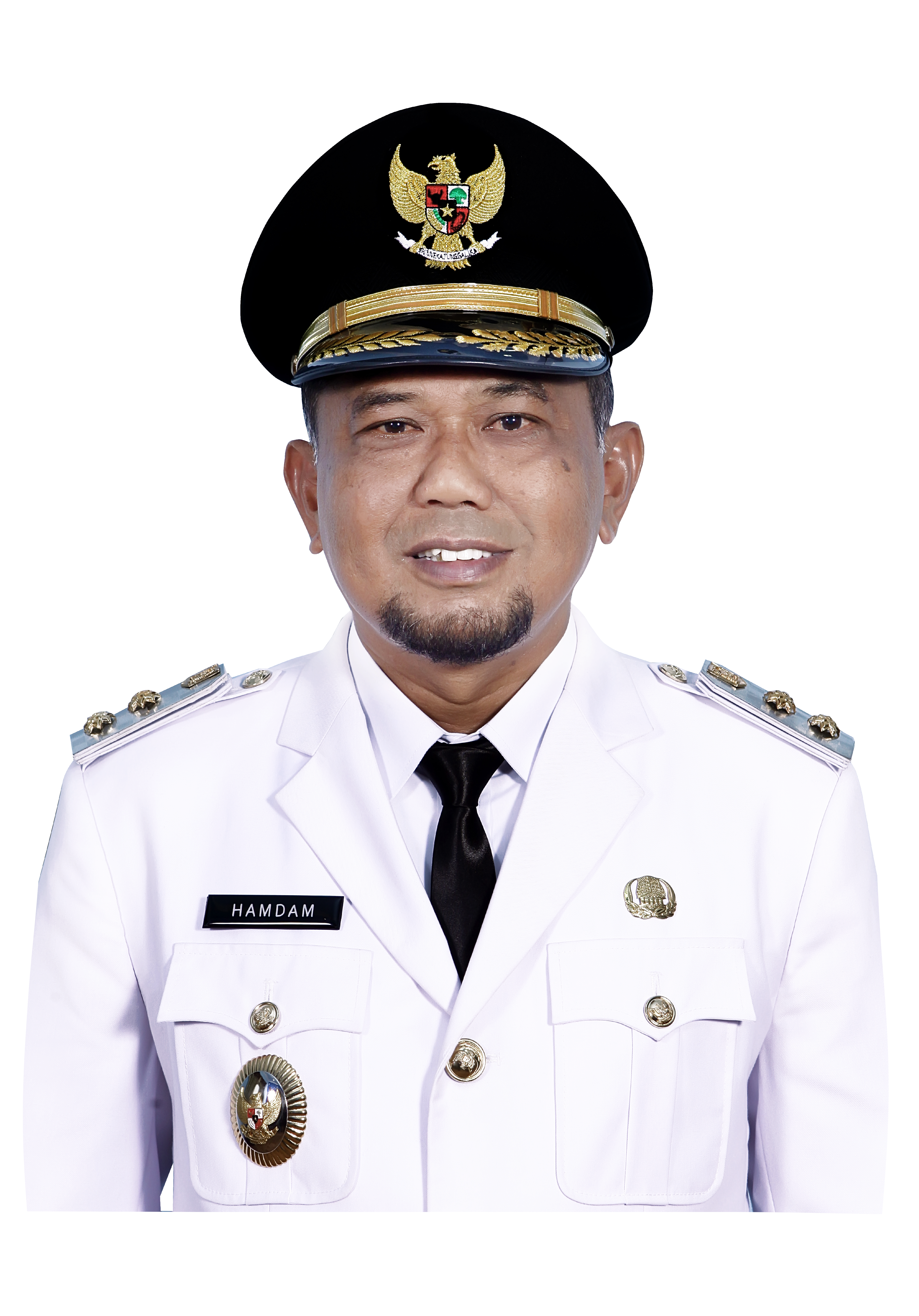 Bupati Ir. H. Hamdam